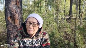 3.05.2025. Книгу по сокотерапии можно приобрести бесплатно