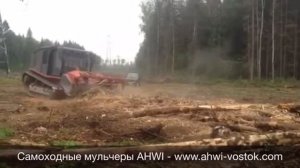 AHWI PRINOTH Raptor 800 Mulching Мульчер