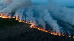 Из-за лесных пожаров более 25 тысяч человек были эвакуированы в Канаде