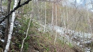 Весенний снег