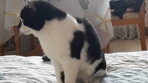 20250603_120944_001 Митёк окружён двойной заботой