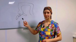 Аппендикс: не просто лишний. Наука, операция, восстановление