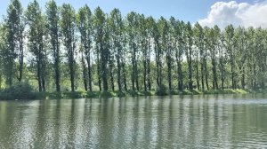 Поэзия в парке Победы