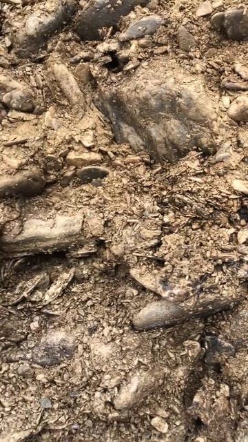 Пески вблизи смотреть онлайн