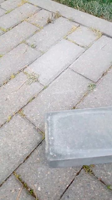 а чë так можно было? как быстро напилить тротуарную пл? смотреть онлайн