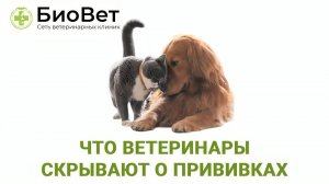 Что ветеринары скрывают о вакцинации