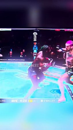 Лучшие нокауты Подпишись и ставь лайк #ufc #mma #youtube #sports #tiktok #shortsvideo #russia #box