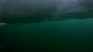 Подводное видео. Под торосом на 6 метрах.