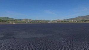 В водохранилище 96 миллионов теневых шариков