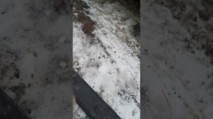 Пассат б3  молдинги дверей