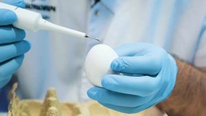 Тестируем зубной скалер с Озон | Получится ли сэкономи