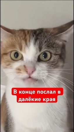 В конце послал в далёкие края