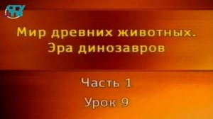 Динозавры # 1.9. Пахицефалозавры и примитивные тиреофоры