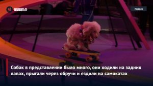 В Государственном цирке Удмуртии проходит фестиваль клоунов