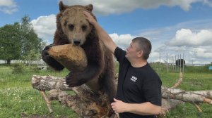 Можно ли победить в схватке с медведем? Что такое животные рефлексы? Михаил Грудев. ИЗВОР