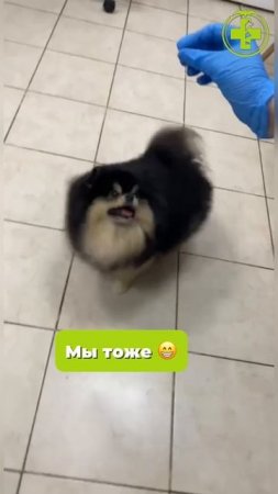 А что даешь ты