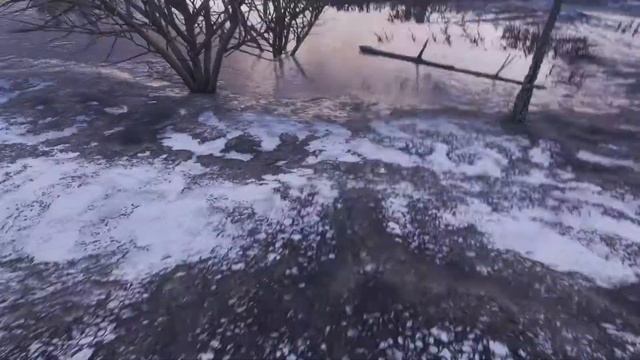 Metro Exodus: Царь рыба х11 смотреть онлайн