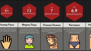 Сравнение Вероятностей_ Комплексы Тела