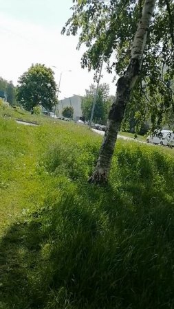Жизнь продолжается