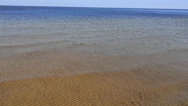 Ритуал - онлайн Рассорка на сердце из песка на затмени? смотреть онлайн