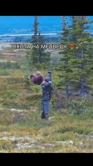 Охота на медведя с луком 🐻🏹