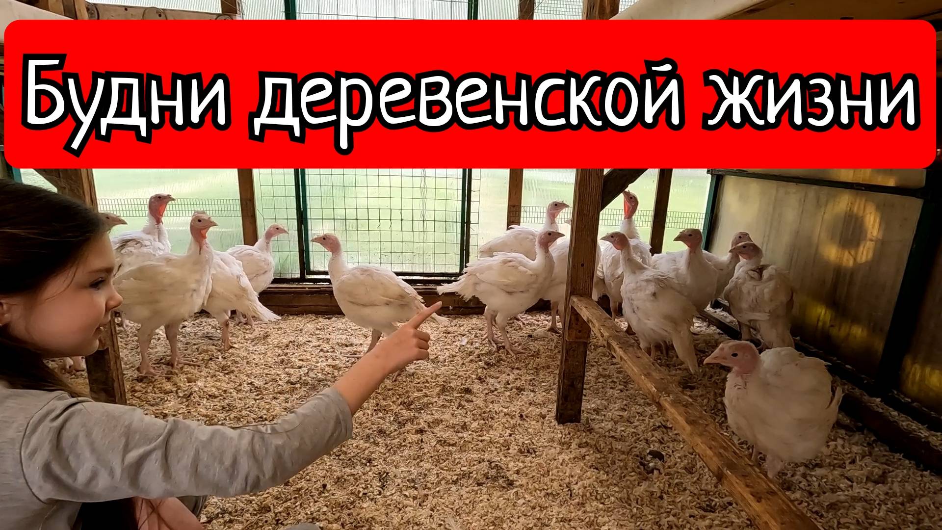 Дела огородные. Работа по птице. Варка на новом ПВК. Обзор Алюмиспрея