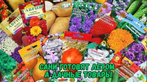 Сани готовят летом, а дачные товары!?