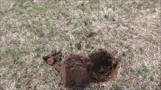 Кладоискательские будни в Пермском крае/ Апрель 2024!!! ?