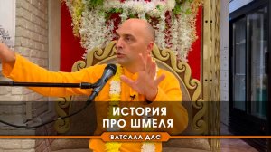 История про шмеля