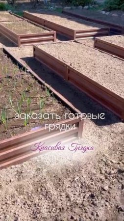 С нашими грядками огород — как с картинки, а спина — как у человека! 💪🌱