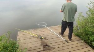 WhatsApp Video 2025-06-04 at 08.32.12