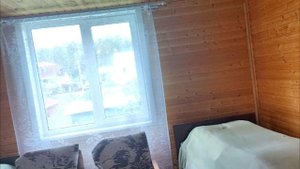 petal_20250604_150345.mp4