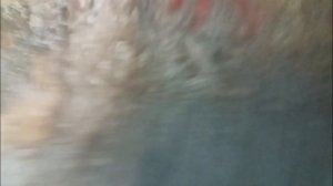 ПИЩЕРА Большая Орешная Красноярский КРАЙ. ПОХОД 2017.