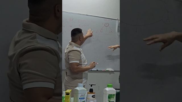 Самый щедрый и денежный маркетинг-план корпорации GREENL смотреть онлайн