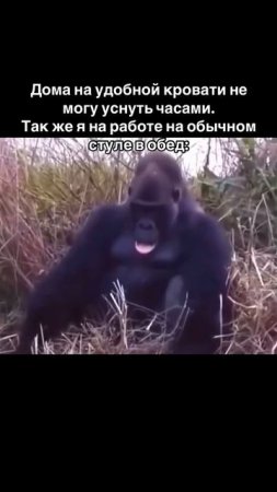 Когда легко можешь уснуть на работе, но не дома