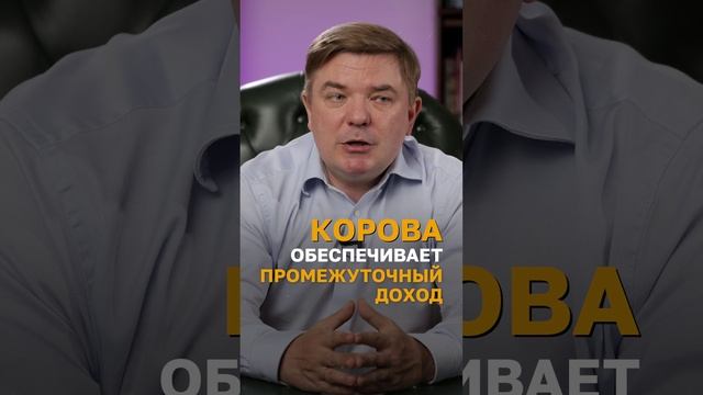 Какие акции защищают от инфляции и дают стабильный доход?