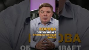 Какие акции защищают от инфляции и дают стабильный доход?