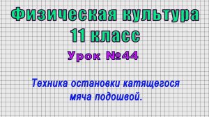 Физическая культура 11 класс (Урок№44 - Техника остановки катящегося мяча подошвой.)