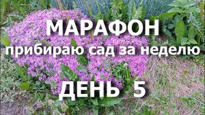 Марафон "Прибираю сад за неделю" День 5