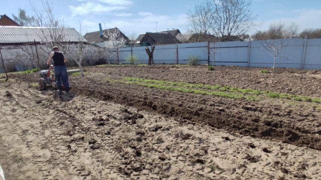 18 апреля 2025г. Беларусь. Сад весной смотреть онлайн