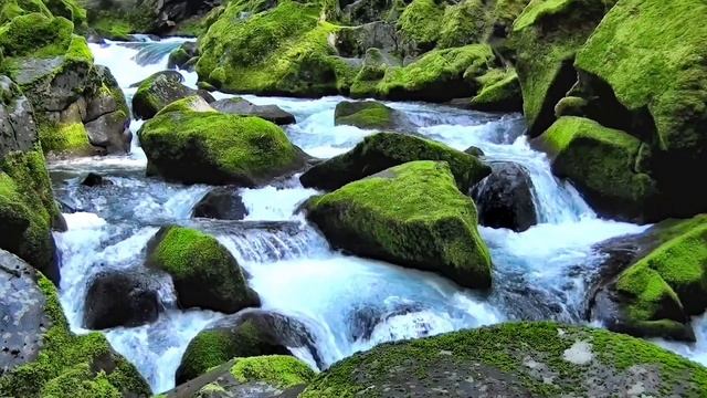 6 Июня - День великих чудес. Судьба кардинально изменится.