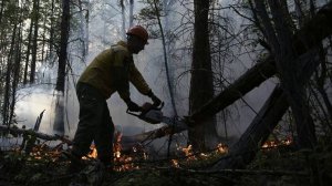 В Якутии локализовали все лесные пожары