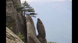 Защита кандидатской диссертации Е.И. Бояриновой