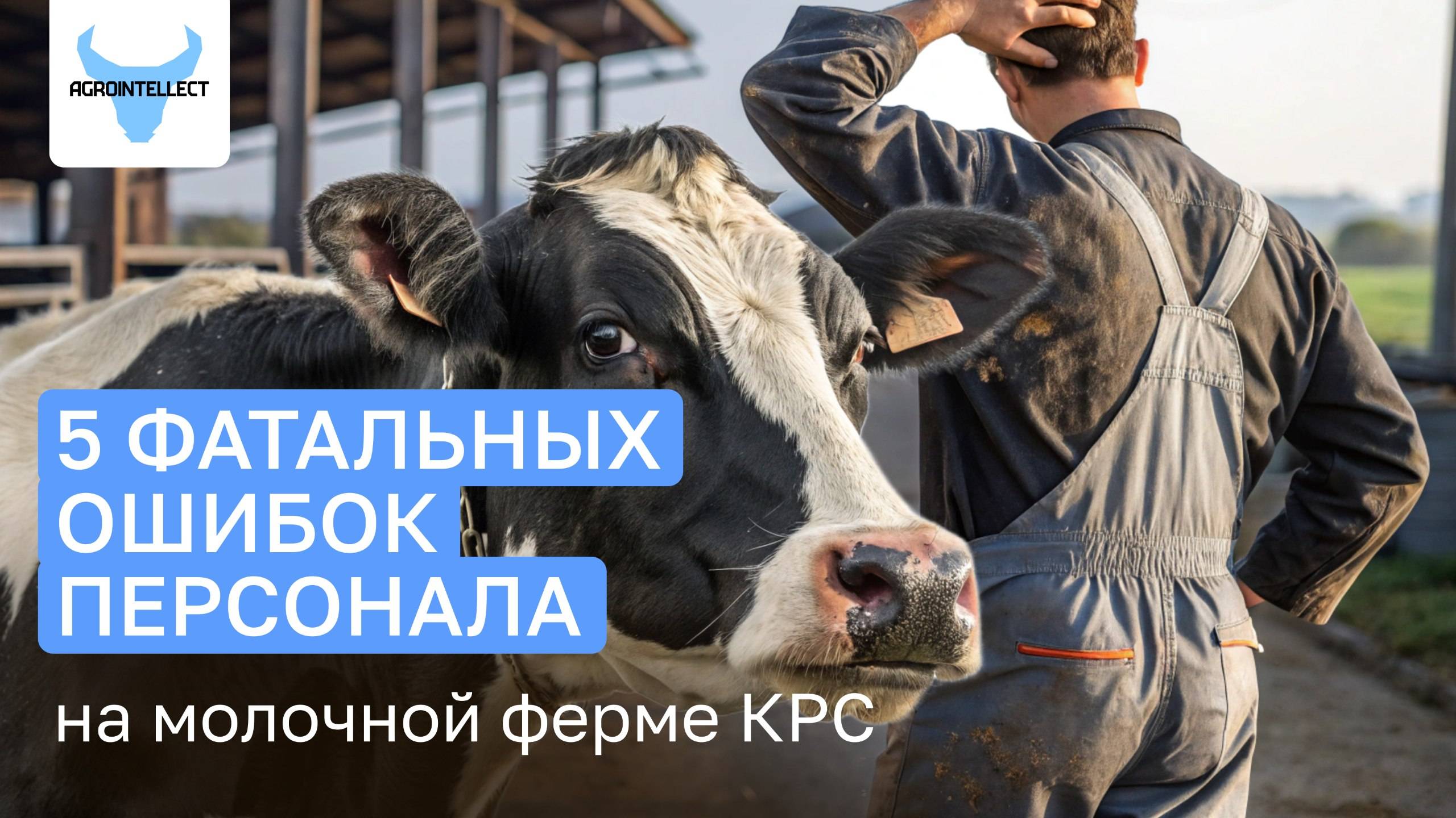 5 самых частых ошибок на молочной ферме КРС, которые обходятся ей в миллионы рублей!