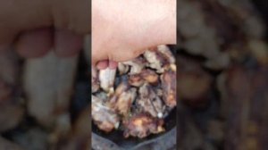 РЕБРА "ПРАВИЛЬНОГО" ДИКОГО КАБАНА НА СКОВОРОДКЕ