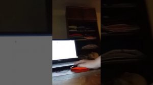 То самое долгожданное видео про роблокс!