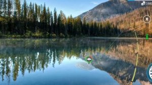 Как поймать вырезуб в игре My Fishing World
