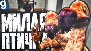 ИГРАЮ ЗА ОБРАЗЕЦ ДО-ДО! ОЧЕНЬ МИЛАЯ ПТИЧКА!(нет) ► Garry's Mod [Гаррис Мод] - SCP RP [СЦП РП]