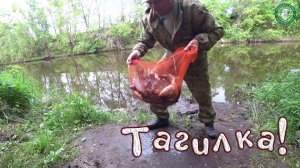 СИЛЬНАЯ РЫБА НА ДОНКУ, ФИДЕР И ПОПЛАВОЧКУ! КАРАСИ ЗАБАБАХИ, С НОЧЕВКОЙ РЕКА ТАГИЛ, РЫБАЛКА НА УРАЛЕ!