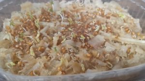 Школьный проект про микрозелень